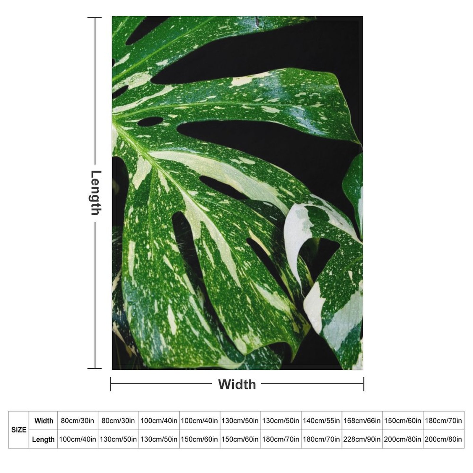 Manta de felpa suave Monstera  - Monstera Thai Constellation reseña y precio